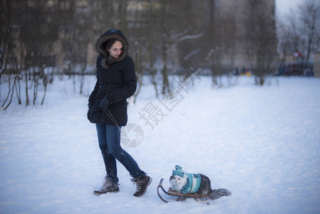 女孩雪橇猫图片