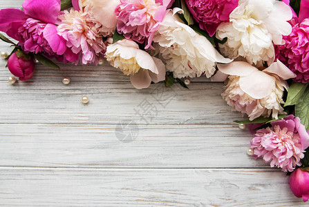 背景与白色木板上的粉红色牡丹图片