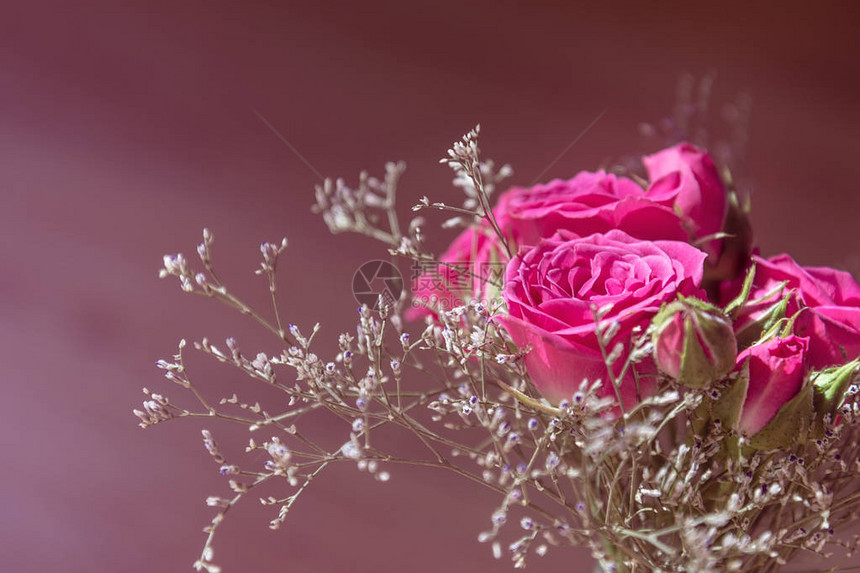 粉红色背景上一束粉红色喷雾玫瑰的顶部视图图片