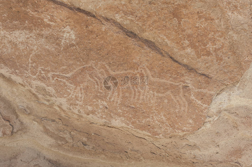 智利阿塔卡马沙漠YerbasBuenas岩石上的古代Petro图片
