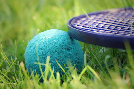 软网球绿和软电击在草地上图片