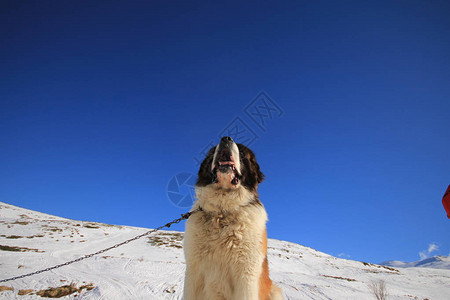 Uludag滑雪度假胜地背景图片