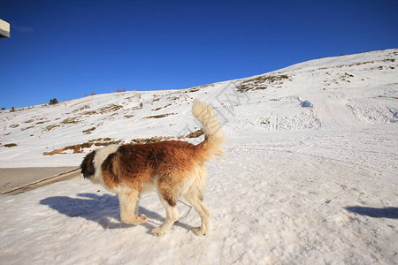 Uludag滑雪度假胜地图片