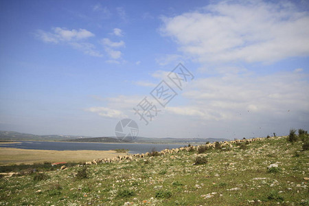 Glyazi湖和景观图片