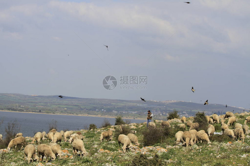 Glyazi湖和景观图片