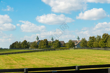 马场的绿色牧场乡村景观图片