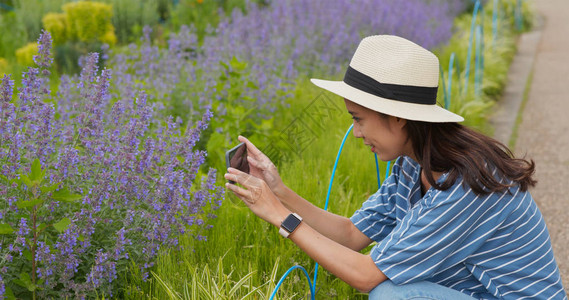 女人用手机拍照在花园图片