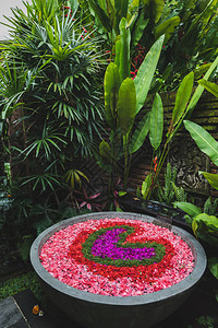 在贪婪的丛林里充满了丰富多彩的心形花瓣美丽的浪漫浴缸巴厘岛图片
