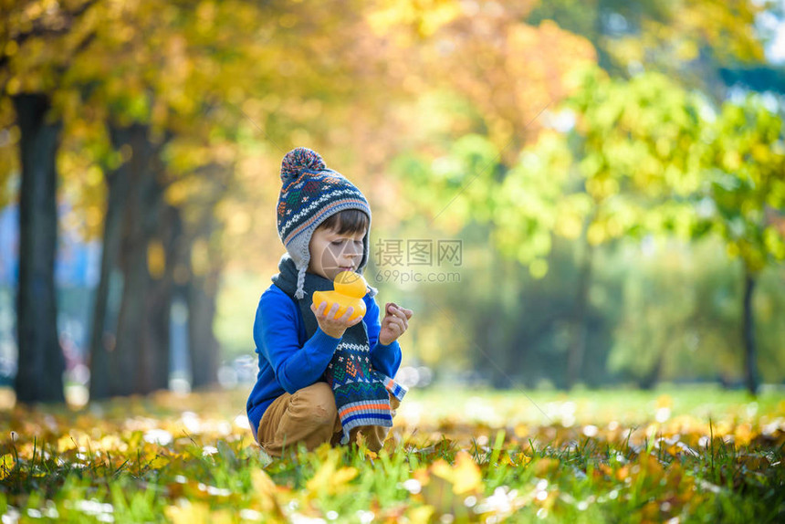 金色的秋天背景与秋天的落叶和在秋天的落叶中玩耍的蹒跚学步的小男孩快乐的孩子享受温暖的秋天阳光明媚的日子横幅和其他媒体项图片
