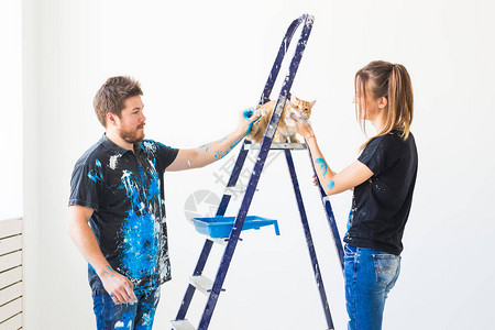 年轻女画家设计师和工人在墙上涂漆猫坐在梯子旁图片