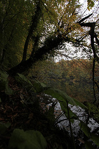 秋天的Yedigoll图片