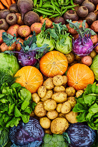 新鲜的农场蔬菜特写土豆萝卜南瓜图片