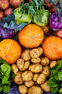 新鲜的农场蔬菜特写土豆萝卜南瓜图片