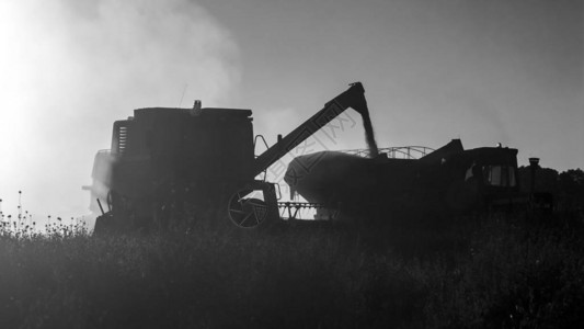 阿根廷农村的大豆收割阿根廷拉潘图片