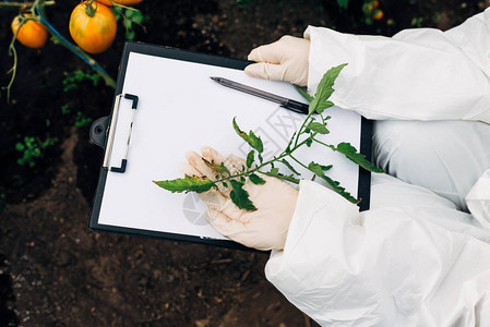 生物技术女工程师图片