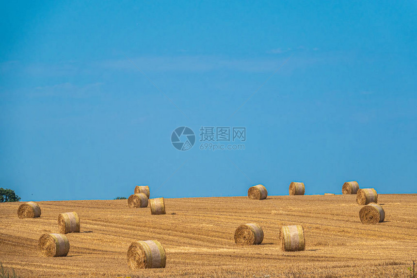 圆形稻草包躺在收割的谷田上图片