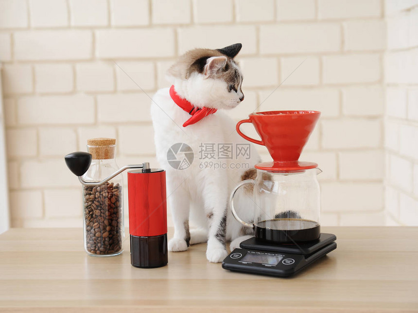 白猫咖啡师替代手动冲咖啡滴灌式过滤器红咖啡研磨机电子图片