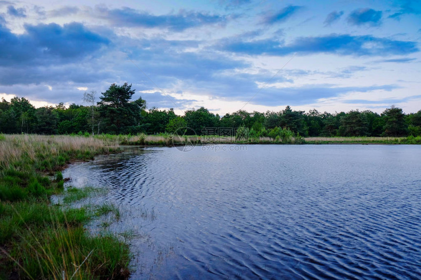 在农村风景中的池塘或湖水中反映图片