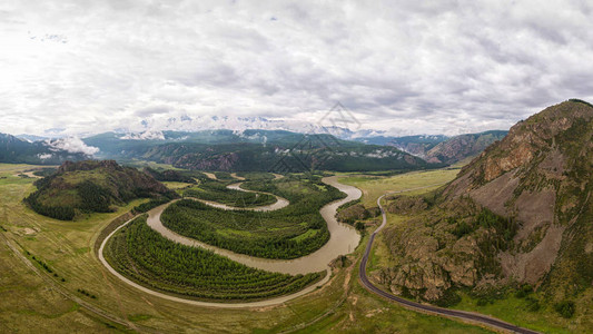 美丽的新鲜绿色森林道路崔道和阿尔泰山背景的观阿尔泰山美丽的图片