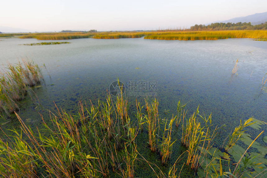 Efteni湖和风景图片