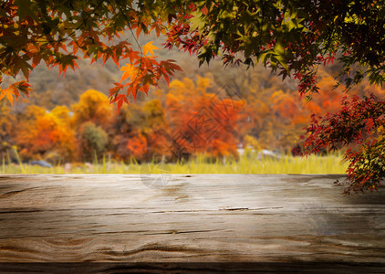 秋季风景中的木桌图片