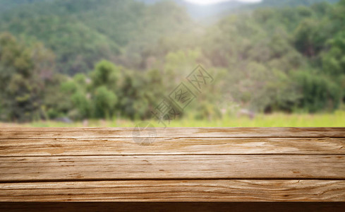 夏季农场绿色景观中的棕色木桌图片