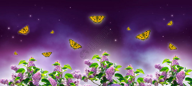 神奇的紫色夜空梦幻般的幻想背景图片