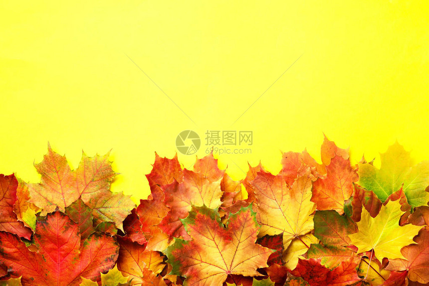 秋天背景季节和天气概念黄纸上带复制空间的多彩秋季假期图片