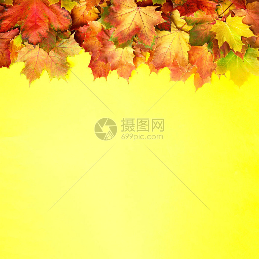 黄色纸上带复制空间的多色秋叶舒适的情绪下降季节和天气概图片