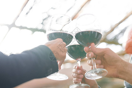 几个朋友的手握着酒杯和波卡宾网的葡萄酒杯连在一起同时在派对图片