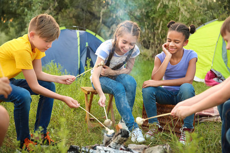 孩子们在夏令营用火烤蘑菇图片