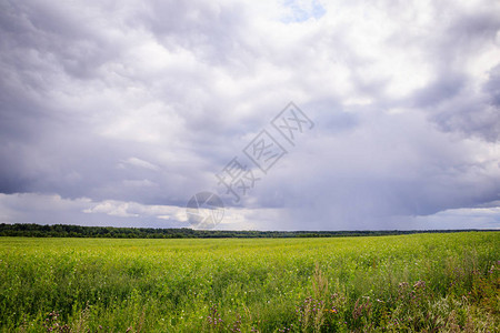 夏季田野景观俄罗斯开放空间暴风雨来临前阴雨绵的天空雨前的背景俄罗斯领图片