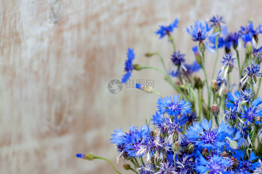 木制浅色背景上的矢车菊蓝色花朵高分辨率图片