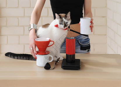 手动煮咖啡倒水研磨机缩压器红领结的芭蕾高清图片