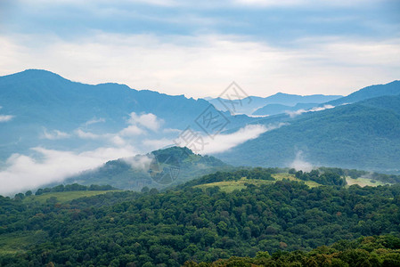 夏季清晨有雾多的高加索山脉森林和云图片