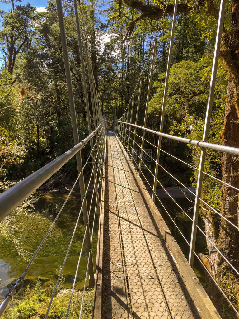一条狭窄的悬索天桥横跨新西兰的一条河流图片