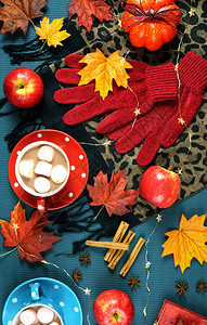 秋天主题平板上面有热巧克力香料和棉花糖的杯子在分散图片