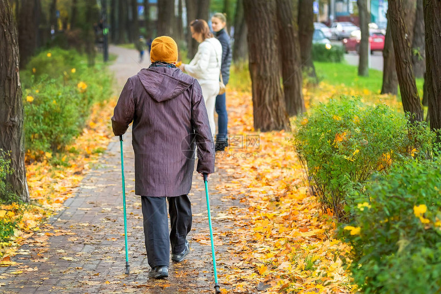 在美丽多彩的秋季公园享受北欧式行走的高级女老年人在户外做撑杆步行锻炼老年图片
