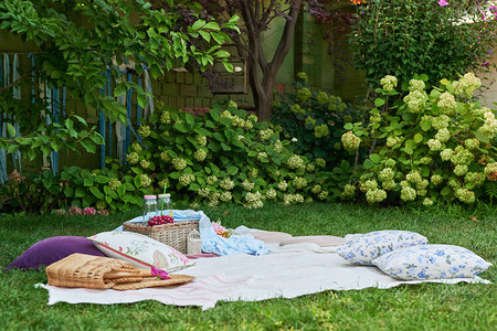 以熏衣草菜为野餐装饰夏天在花园的图片