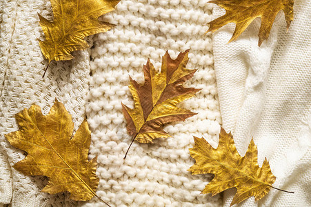 秋天背景与温暖的毛衣图片