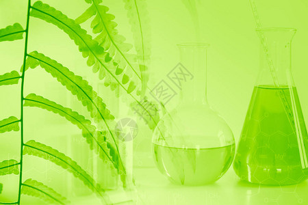 具有绿色质的化学科和生物技术在医学实验室中作为背景的草药额图片