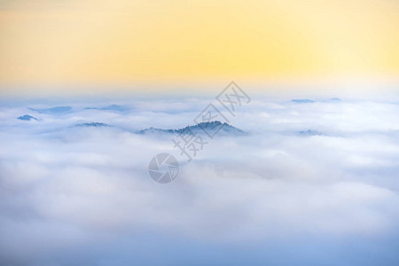 越南大拉特山坡下雾笼背景