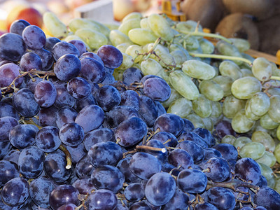蓝葡萄和绿葡萄都放在柜台上不同的葡萄品种背景各图片