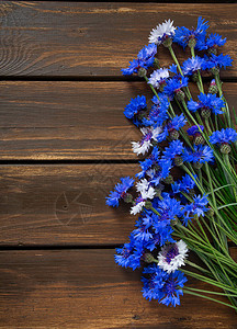 木质表面上的蓝色矢车菊草本图片