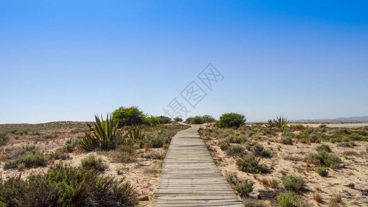 法鲁是葡萄牙阿尔加维美丽地区的中心有一个自然公园RiaFormosa图片
