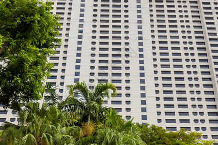 新加坡植物中的摩天大楼图片