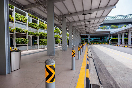新加坡机场巴士站图片