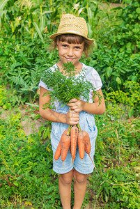 一个花园里有胡萝卜的孩子有图片