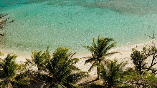 鸟瞰热带岛屿上的沙滩图片