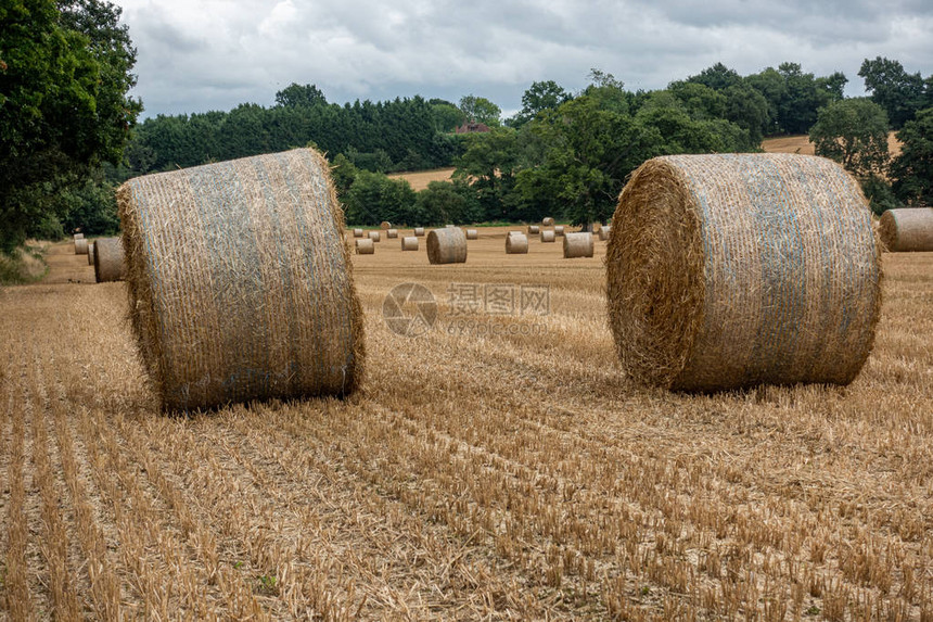 两个卷起的干草捆坐在田地里背景中还图片